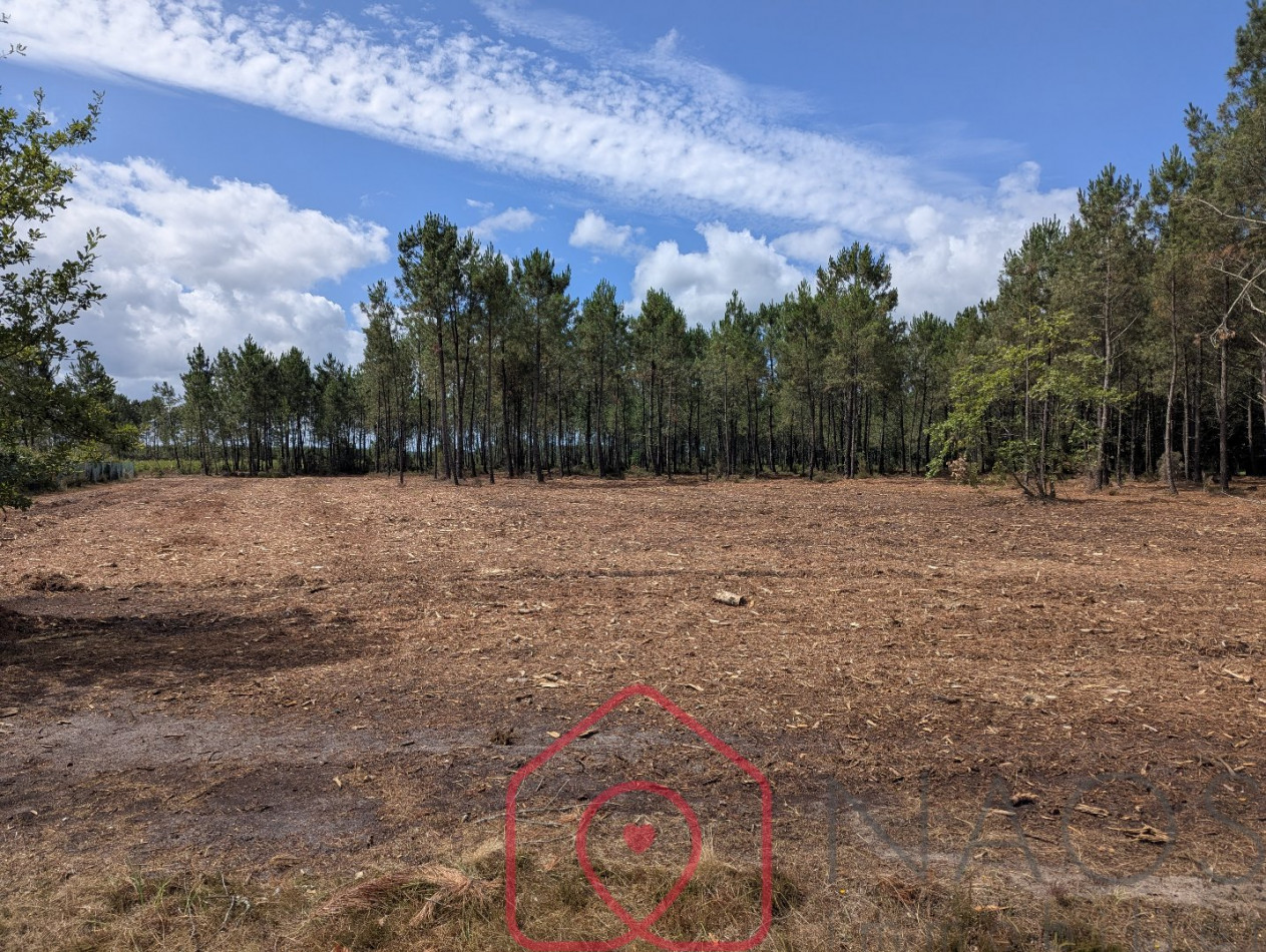 vente Terrain constructible Parentis En Born - Photo 1