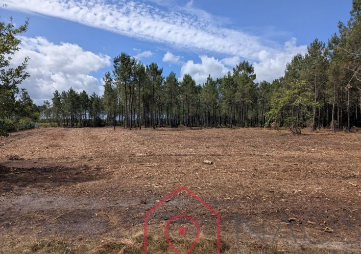 vente Terrain constructible Parentis En Born