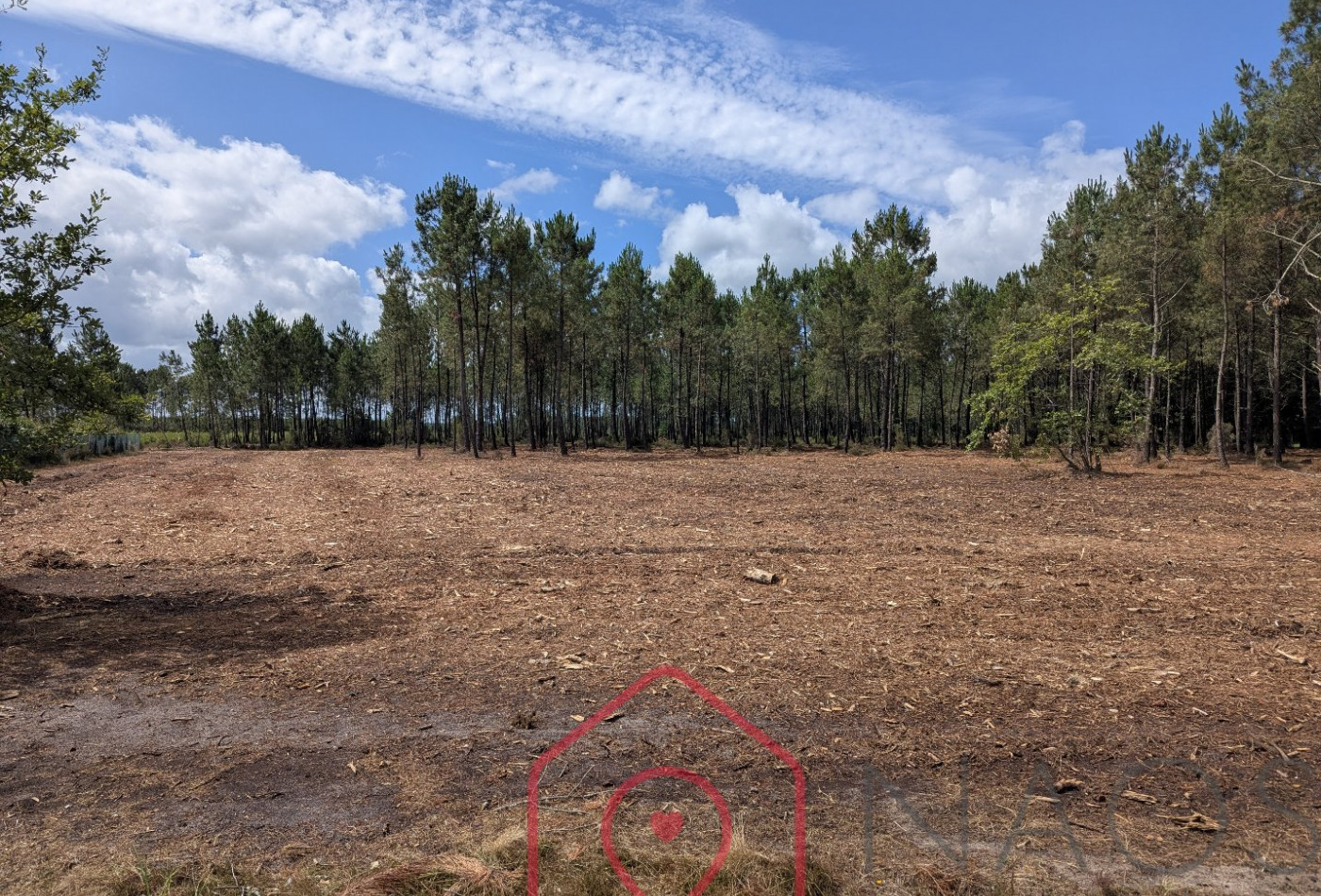 vente Terrain constructible Parentis En Born - Photo 1