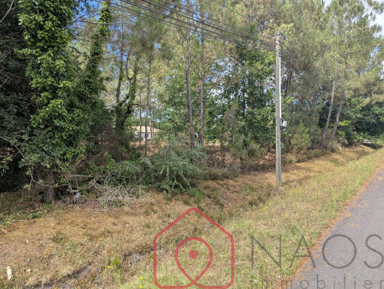 vente Terrain constructible Parentis En Born - Photo 8