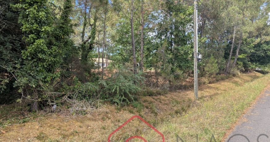 vente Terrain constructible Parentis En Born