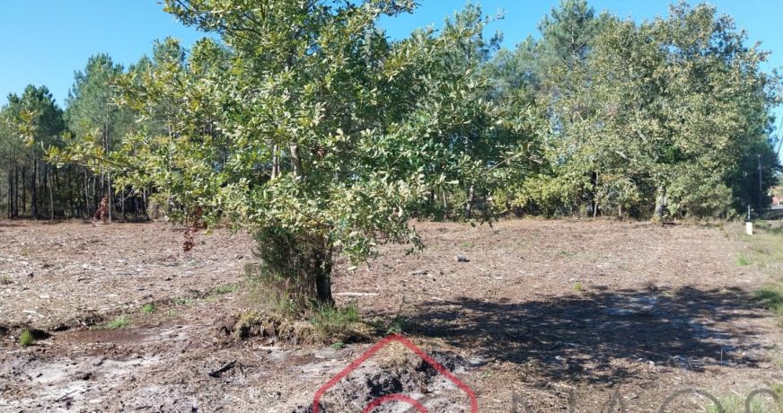 vente Terrain constructible Parentis En Born