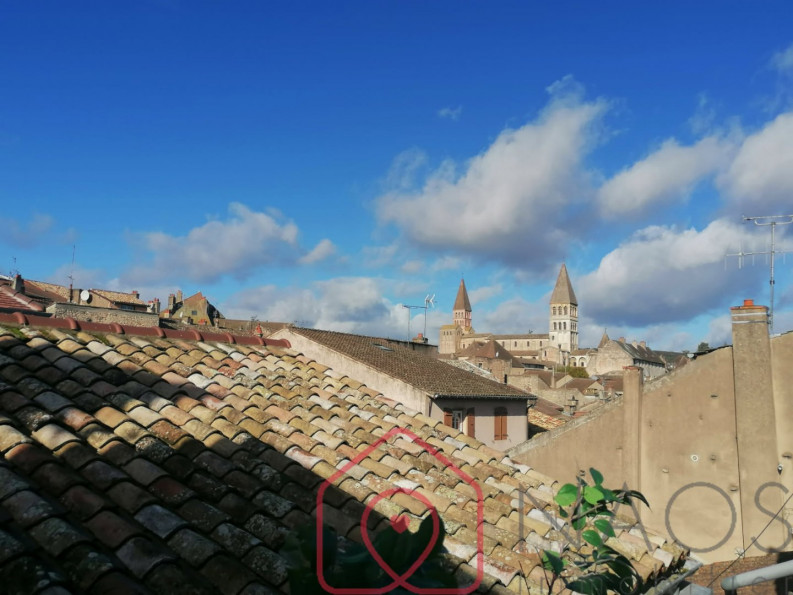 vente Immeuble de rapport Tournus - Photo 3