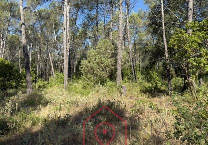 vente Terrain Bagnols En Foret