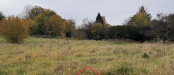 vente Terrain à lotir Bazeilles