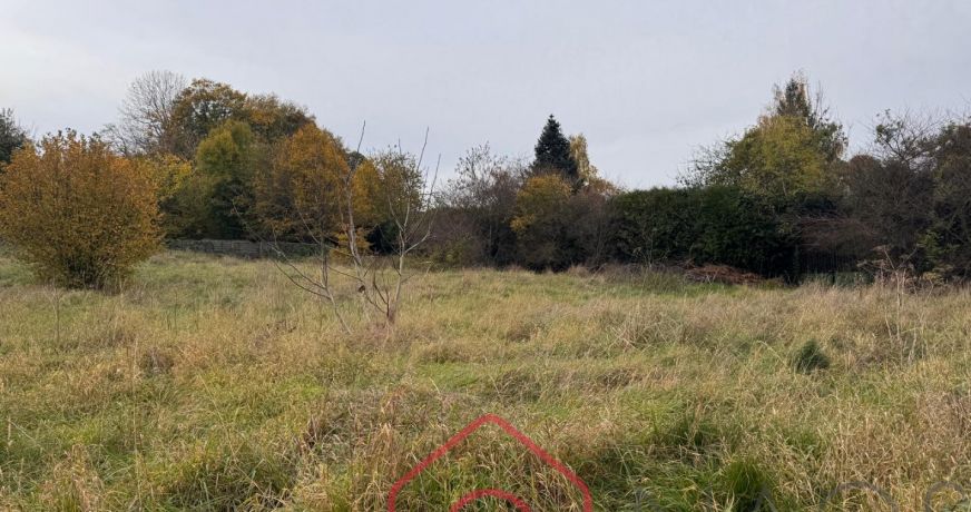 vente Terrain à lotir Bazeilles