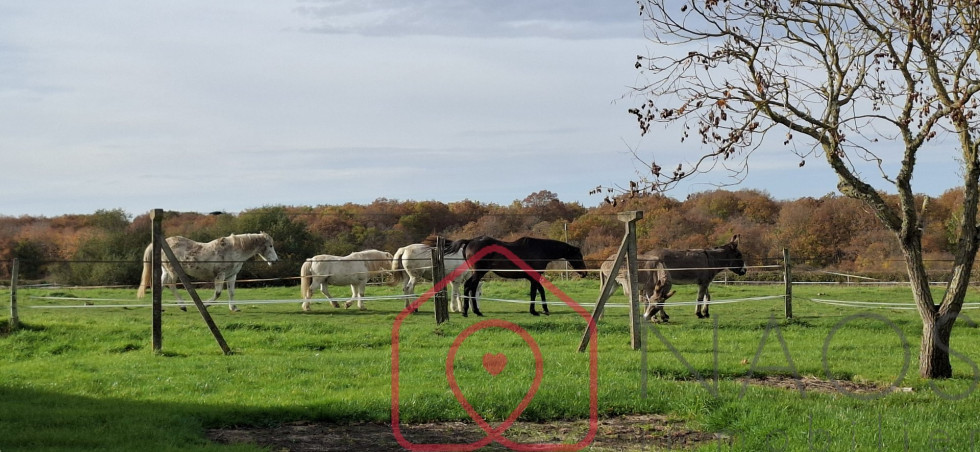 vente Corps de ferme Boulleret - Photo 5