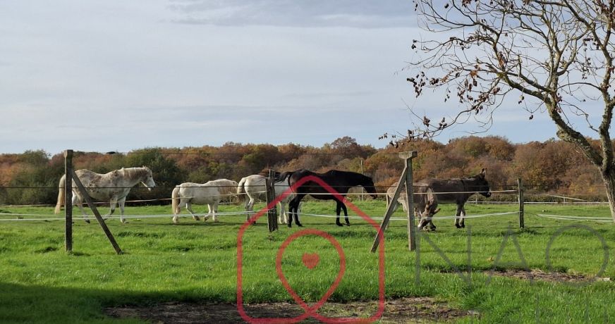 vente Corps de ferme Boulleret