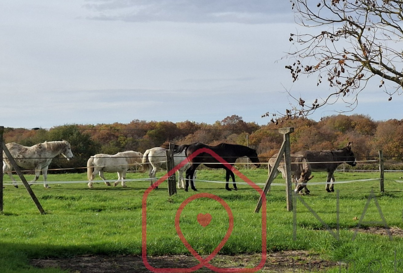 vente Corps de ferme Boulleret - Photo 5
