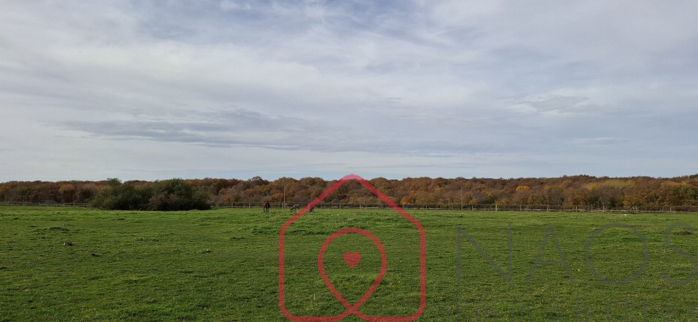 vente Corps de ferme Boulleret - Photo 7