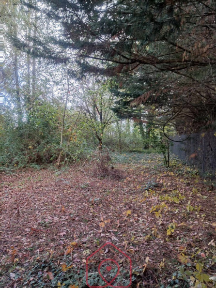 vente Maison individuelle Boyer - Photo 4