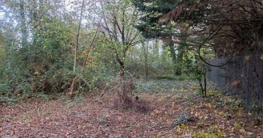 vente Maison individuelle Boyer