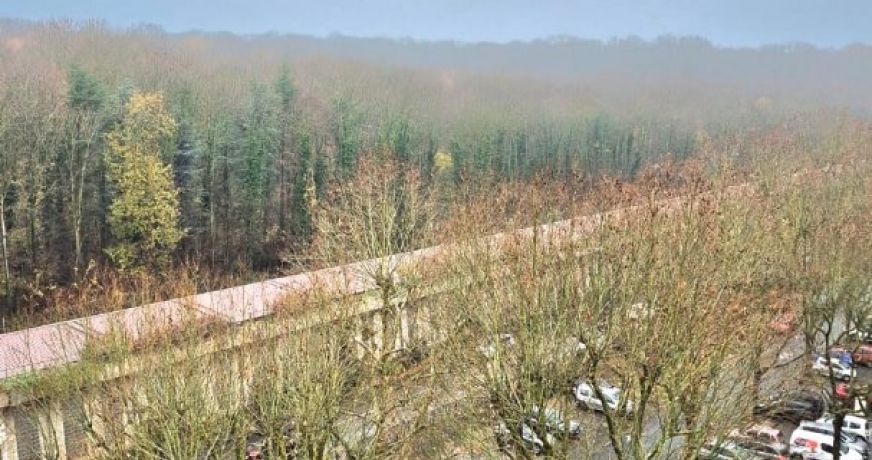 location Appartement Meudon La Foret