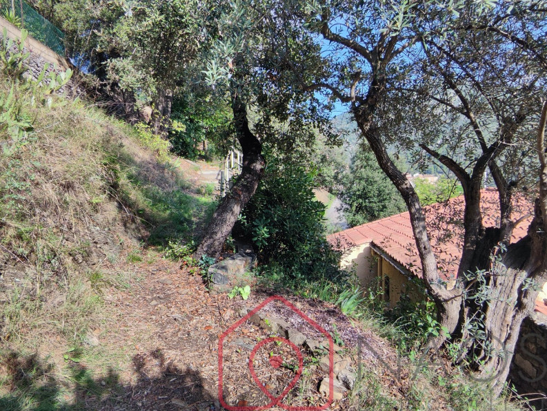 vente Villa Roquebrun - Photo 5