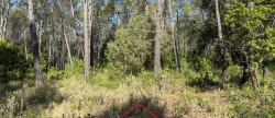 vente Terrain Bagnols En Foret