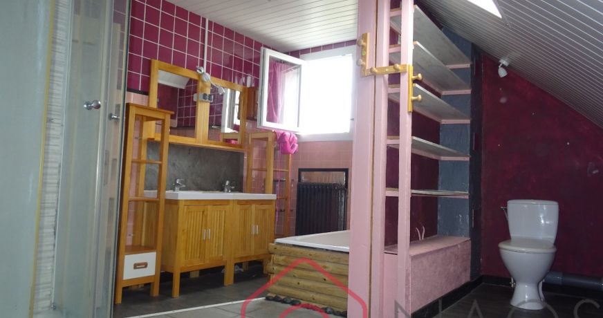 vente Maison individuelle Argent Sur Sauldre