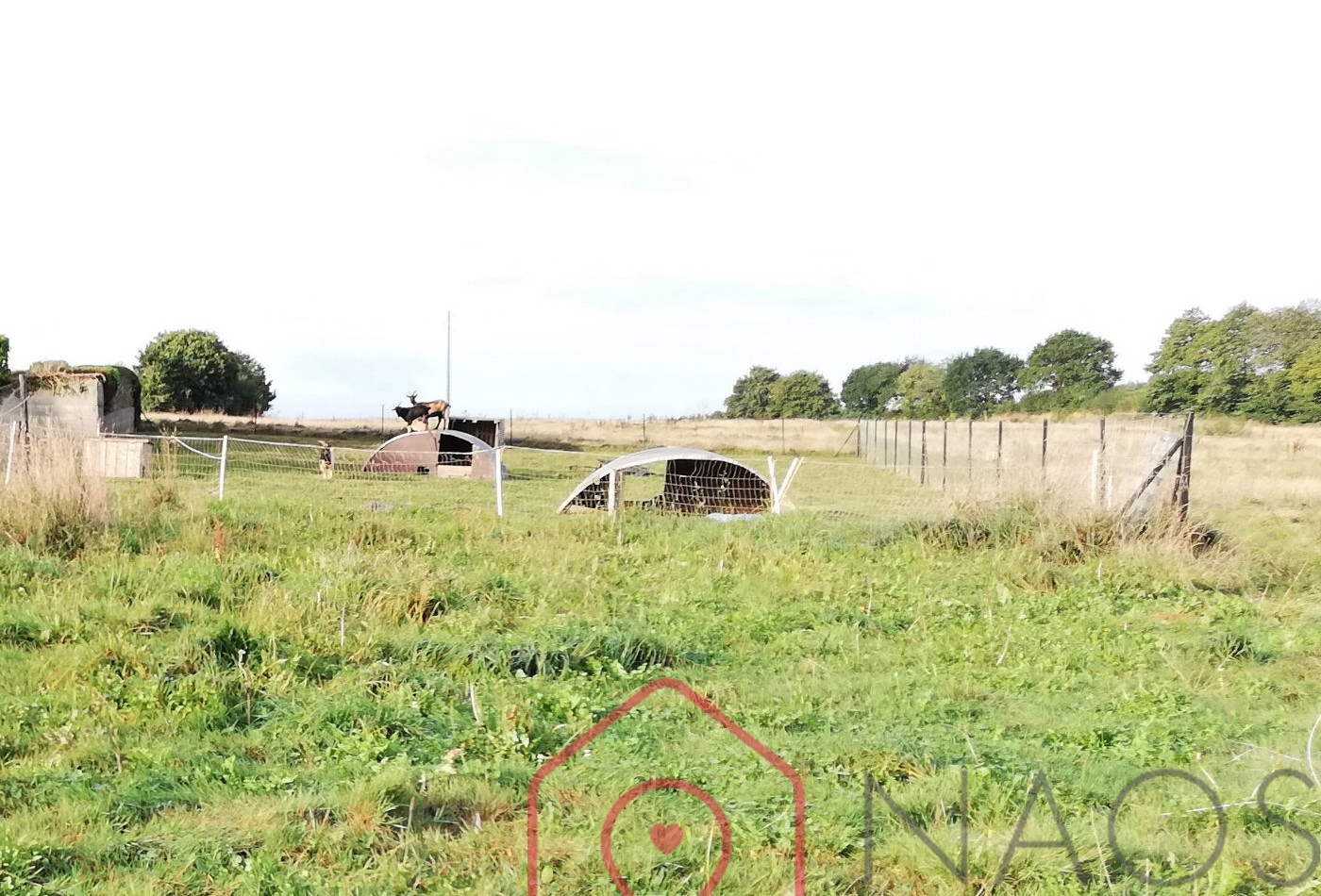 vente Maison à rénover Langolen - Photo 2