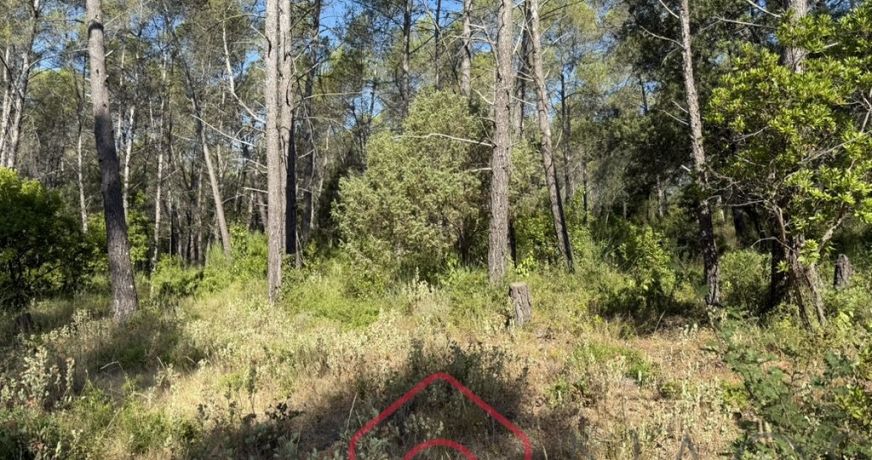 vente Terrain Bagnols En Foret