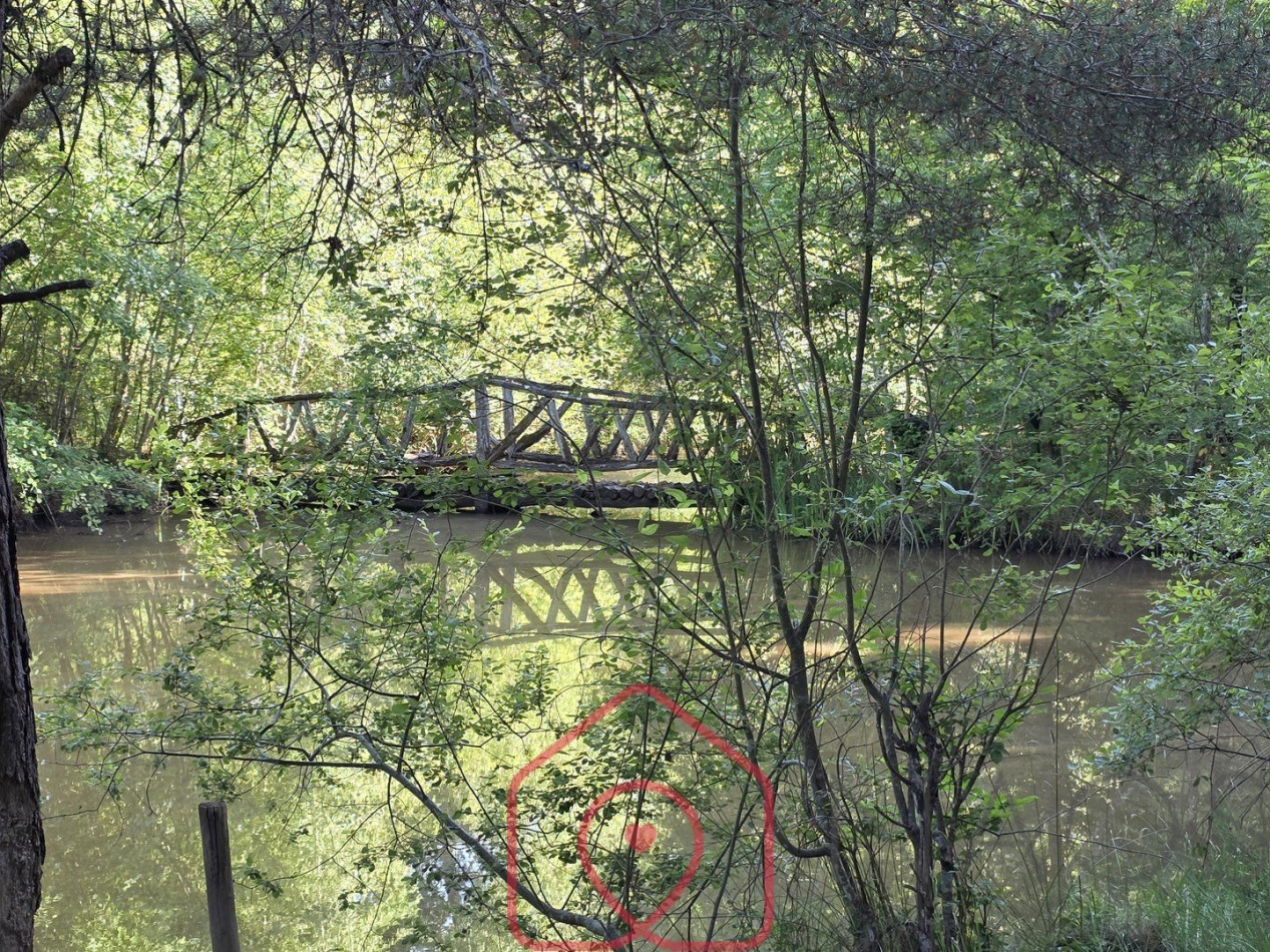 vente Terrain boisé – forêt Nouan Le Fuzelier - Photo 5