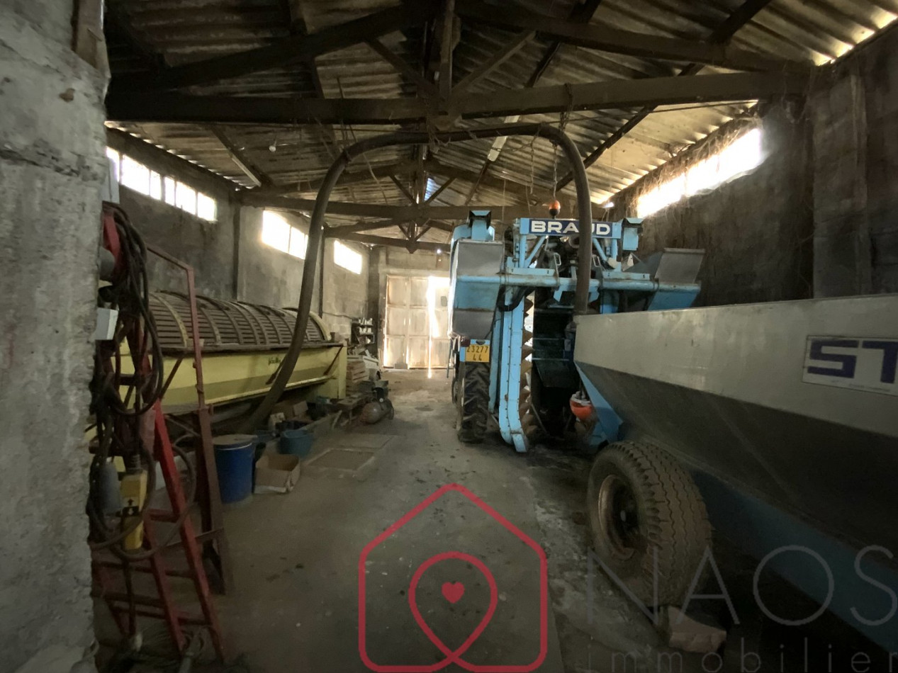 vente Bâtiment Mouzillon - Photo 3