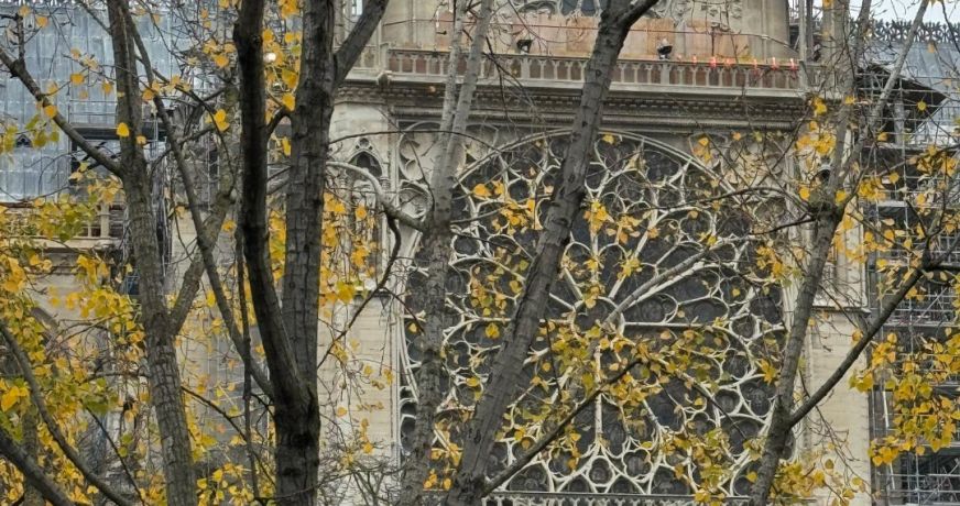 vente Local commercial Paris 5eme Arrondissement