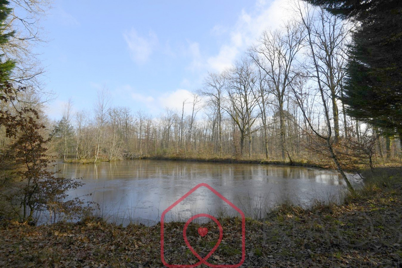 vente Terrain boisé – forêt Nouan Le Fuzelier - Photo 6