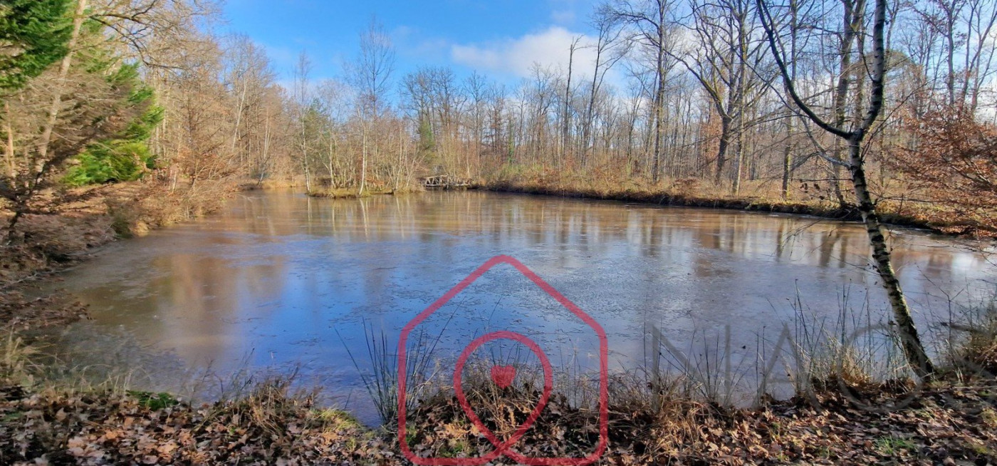 vente Terrain boisé – forêt Nouan Le Fuzelier - Photo 2