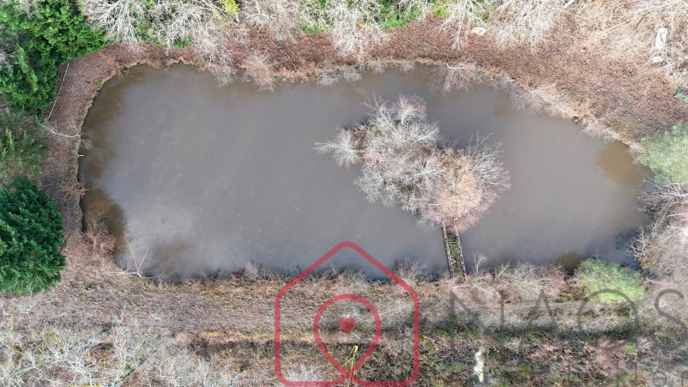 vente Terrain boisé – forêt Nouan Le Fuzelier - Photo 9