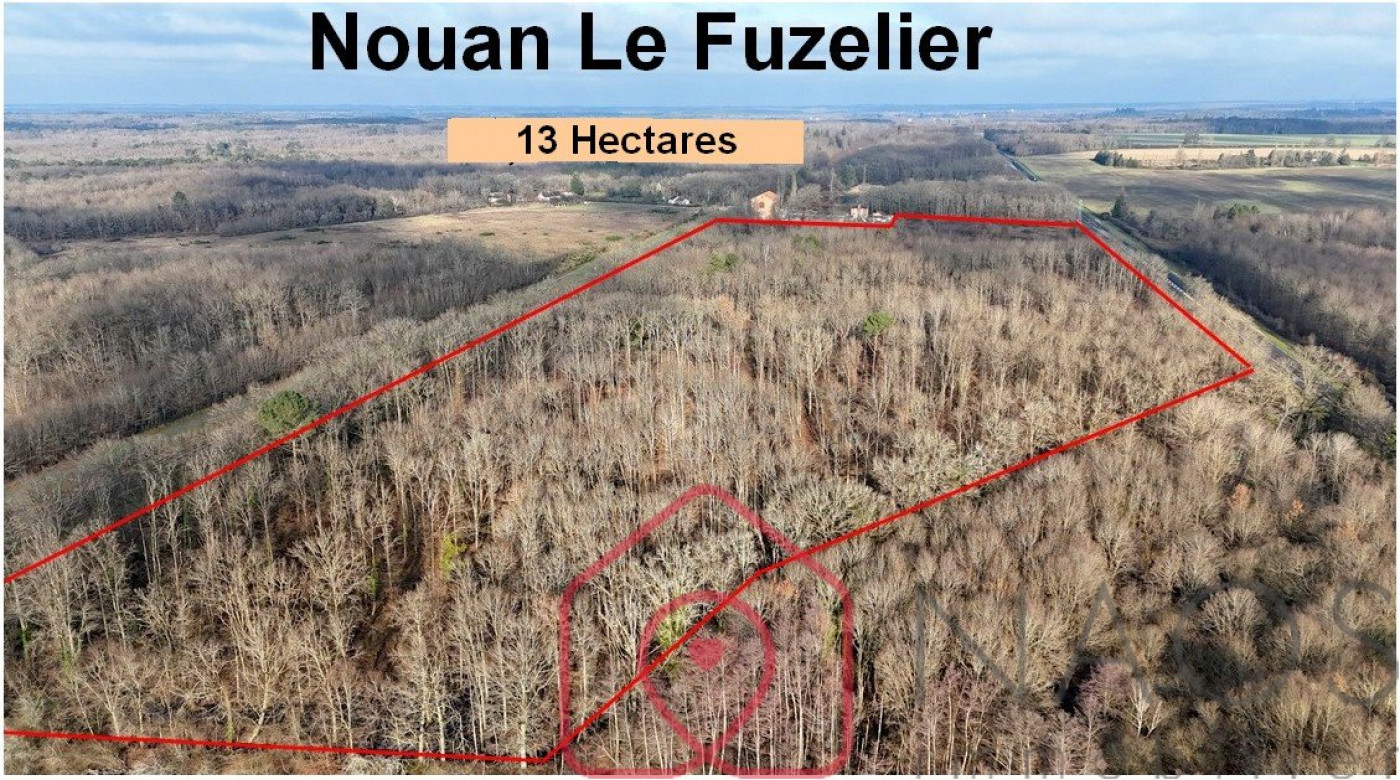 vente Terrain boisé – forêt Nouan Le Fuzelier - Photo 8