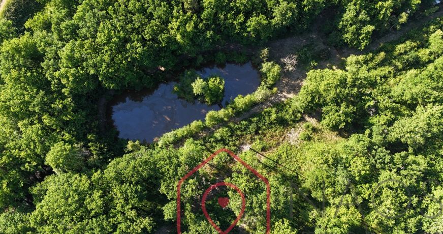 vente Terrain boisé – forêt Nouan Le Fuzelier