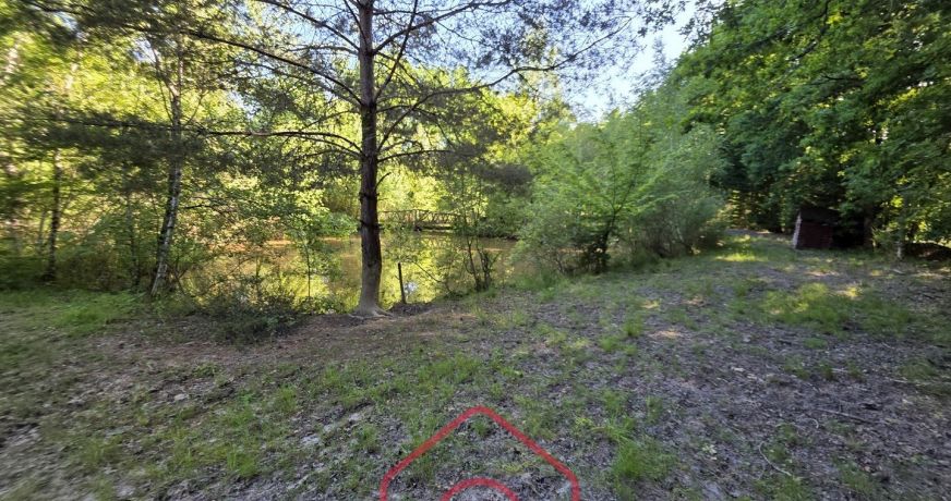 vente Terrain boisé – forêt Nouan Le Fuzelier