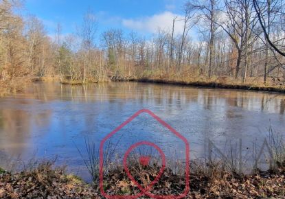 vente Terrain boisé – forêt Nouan Le Fuzelier