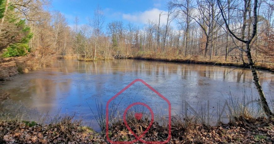 vente Terrain boisé – forêt Nouan Le Fuzelier