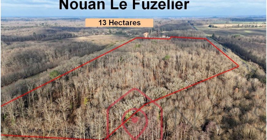 vente Terrain boisé – forêt Nouan Le Fuzelier