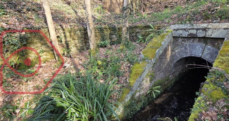 vente Propriété Ploumagoar