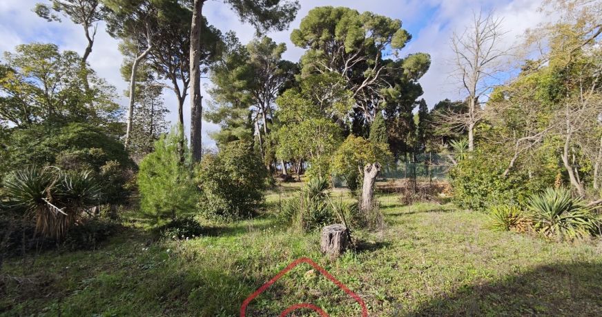 vente Propriété Narbonne