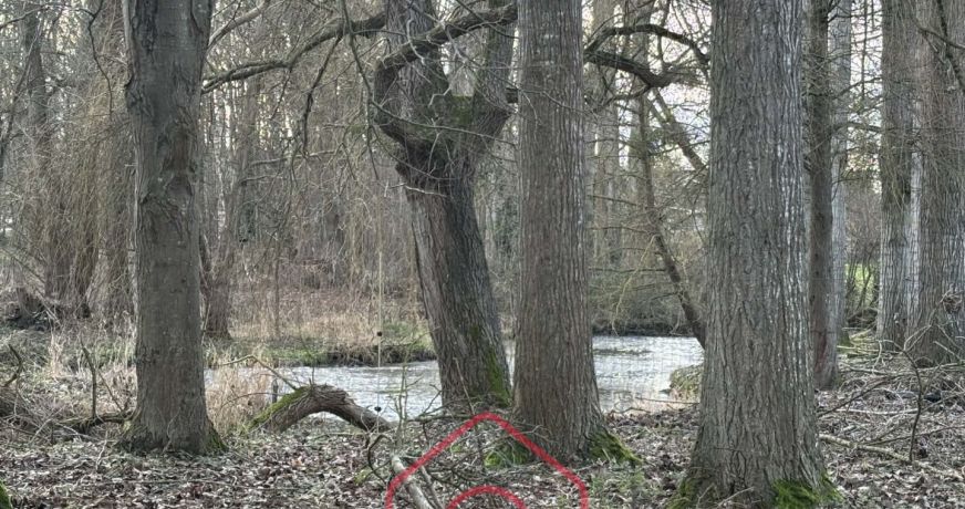 vente Ferme Dancourt