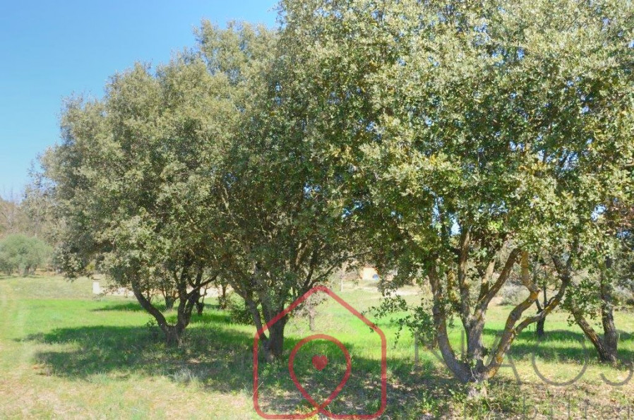 vente Terrain constructible Vinon Sur Verdon - Photo 5