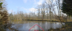vente Terrain boisé – forêt Nouan Le Fuzelier