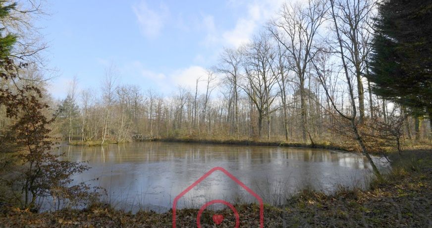 vente Terrain boisé – forêt Nouan Le Fuzelier