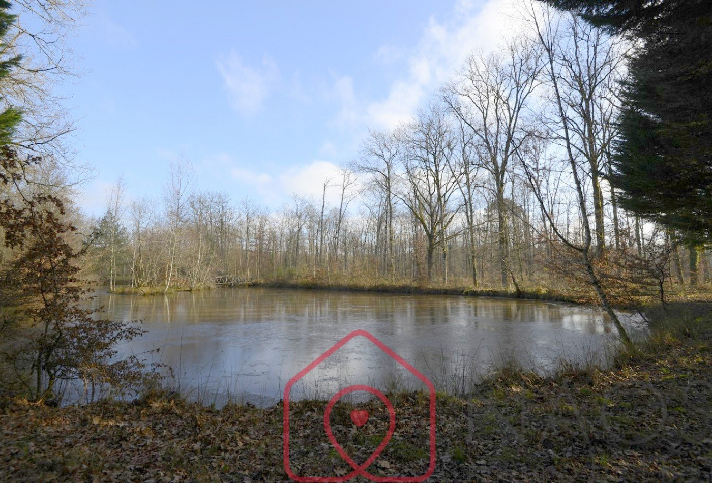 vente Terrain boisé – forêt Nouan Le Fuzelier - Photo 7