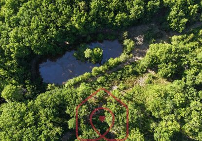 vente Terrain boisé – forêt Nouan Le Fuzelier