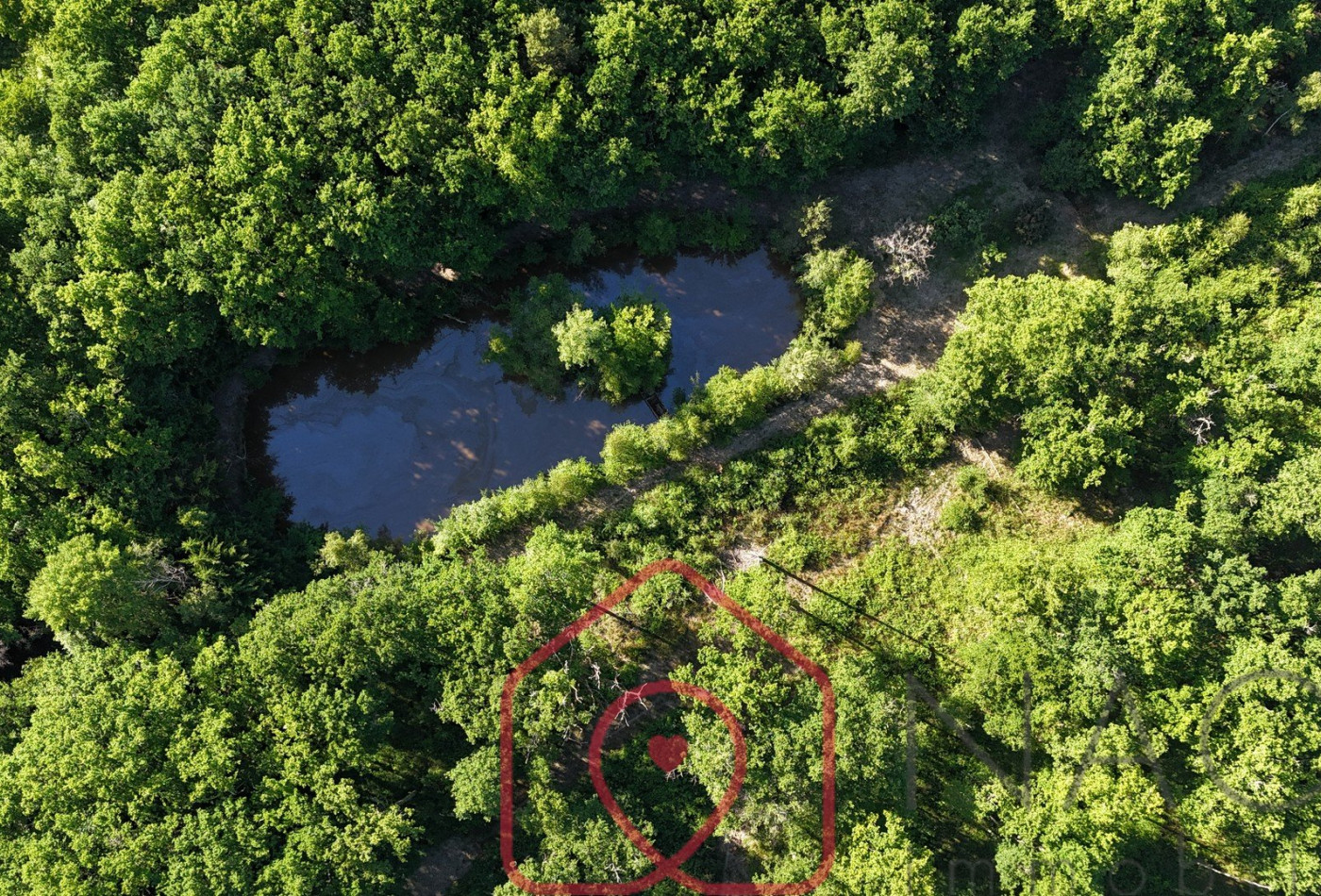 vente Terrain boisé – forêt Nouan Le Fuzelier - Photo 1