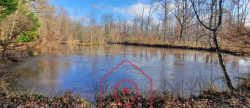 vente Terrain boisé – forêt Nouan Le Fuzelier