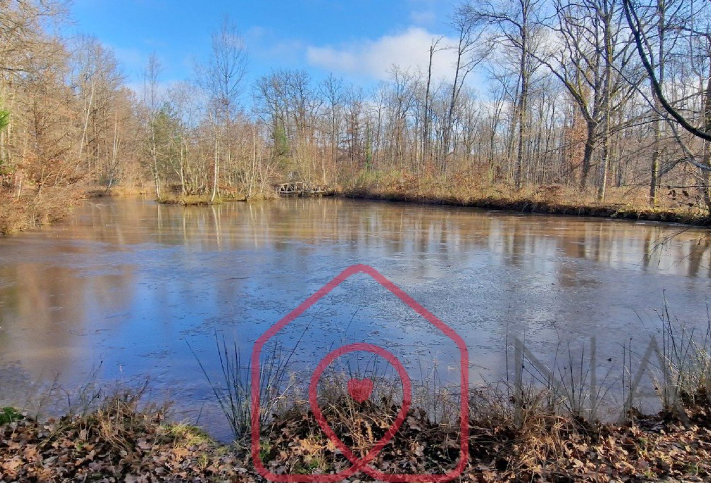 vente Terrain boisé – forêt Nouan Le Fuzelier - Photo 6