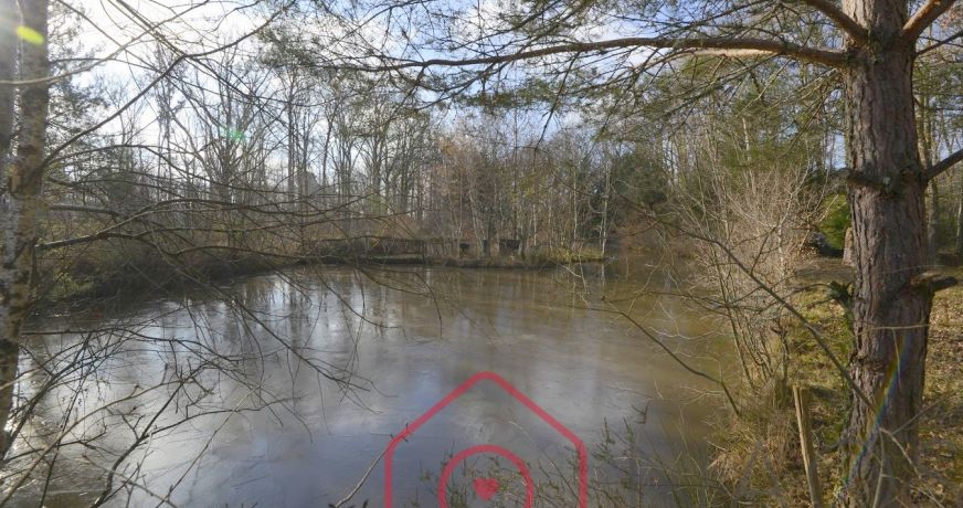 vente Terrain boisé – forêt Nouan Le Fuzelier