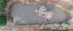 vente Terrain boisé – forêt Nouan Le Fuzelier