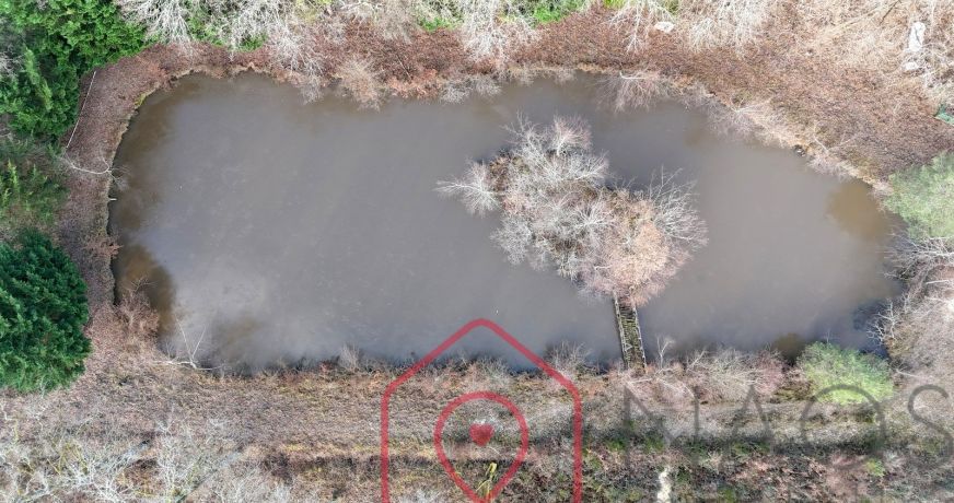 vente Terrain boisé – forêt Nouan Le Fuzelier