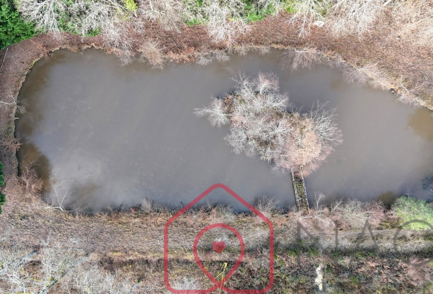 vente Terrain boisé – forêt Nouan Le Fuzelier - Photo 9