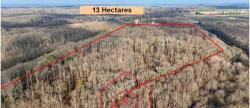 vente Terrain boisé – forêt Nouan Le Fuzelier